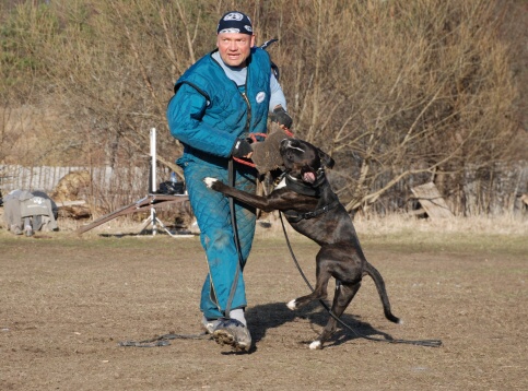 Training in Estonia 30.3 - 1.4. 2007